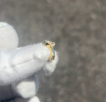 14k Gold custom Naval Jewelry - Image 8